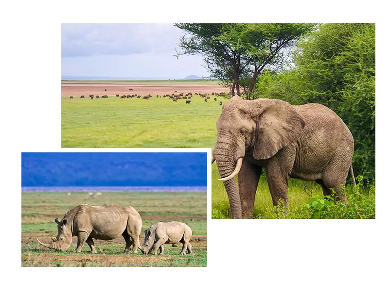 Tanzania-Private-Guided-Safari-Itineraries-Our-Service Tanzania-Private-Guided-Safari-Itineraries-Our-Service