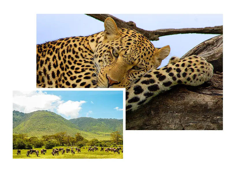 Tanzania-Private-Guided-Safari-Itineraries-Our-Service Tanzania-Private-Guided-Safari-Itineraries-Our-Service
